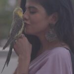 Swagatha S Krishnan Instagram – My pattu . My cockatiel of 11 years passed away day before yesterday 10th September 2022 at 5.30 am. This grief is difficult. Pattu, I know u r watching over amma as i grieve through ur passing. I will miss u my baby , the way u walk on the dining table to eat from my plate. I will miss scratching ur head, hearing u imitate my hello s, coughs and whistles.  i am so proud of u Pattu. I use to show ur skills off like that proud mum. Ur voice s still alive my pattu. I can still hear u. Amma is weeping thinking of you. Just struggled my way to sing these lines for u my darling baby. Fly high my baby. Im sure u r already excited for ur next adventure. I pray to god that i find comfort in the fact that you will never be forgotten . Rest well my baby . Will Miss u. Muuah ♥️ மார்பில் ஊரும் உயிரே .. என் தெய்வம் தந்த “பட்டு” பூ !