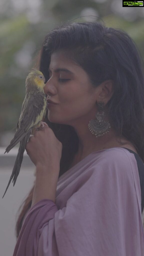 Swagatha S Krishnan Instagram - My pattu . My cockatiel of 11 years passed away day before yesterday 10th September 2022 at 5.30 am. This grief is difficult. Pattu, I know u r watching over amma as i grieve through ur passing. I will miss u my baby , the way u walk on the dining table to eat from my plate. I will miss scratching ur head, hearing u imitate my hello s, coughs and whistles. i am so proud of u Pattu. I use to show ur skills off like that proud mum. Ur voice s still alive my pattu. I can still hear u. Amma is weeping thinking of you. Just struggled my way to sing these lines for u my darling baby. Fly high my baby. Im sure u r already excited for ur next adventure. I pray to god that i find comfort in the fact that you will never be forgotten . Rest well my baby . Will Miss u. Muuah ♥️ மார்பில் ஊரும் உயிரே .. என் தெய்வம் தந்த “பட்டு” பூ !
