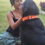 Swagatha S Krishnan Instagram - Random weekday bellyrub picnic with my big boys Lucky & Simba ♥️♥️ #dogsofinstagram #doglife #retreiver #labrador #chennai