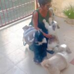 Swagatha S Krishnan Instagram - Tears run down my cheek as i post this. My children gave me the most emotional homecoming welcome. ♥️🥹 #backhome #dogparent #mychildren