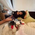 Swagatha S Krishnan Instagram - It is my children Abi & Amba’s first birthday ! We did a simple pooja at home, ate well and now spending the rest of the day cozying up on the bed together . My children are truly my world ♥️ PS : Plz dont keep drishti :)) and kindly unsee my messy night stand 🤪 #sunday #shihtzu #birthday