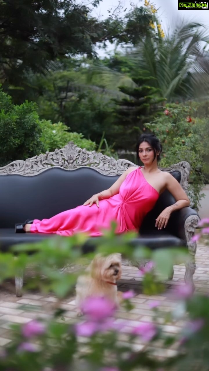 Tanishaa Mukerji Instagram - Ke rahoon ya na rahoon! Yeh nasha of pink! Absolutely loving this creation from #jamesferreiralabel he just knows how to drape the curves of a woman! #trendingreels #template