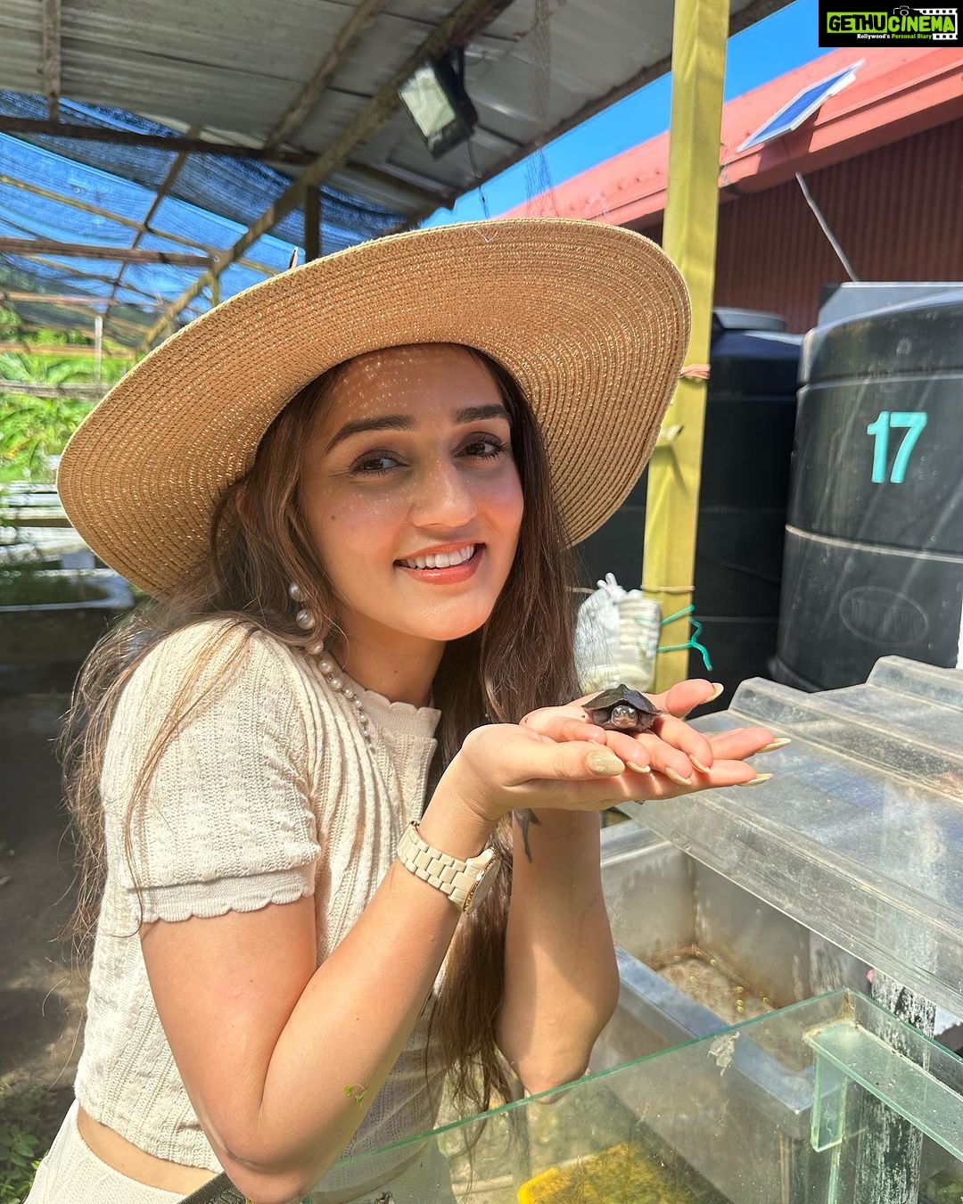 Tanya Sharma Instagram - Srilanka mei bhaithke Malaysia ki pictures upload kar rahi hu ππ . . Like , comment ,share thanks ππ€ #holiday #vacation #travel #langkawi #travel #instagood #resort #love #tanyasharma The Frangipani Langkawi Resort & Spa