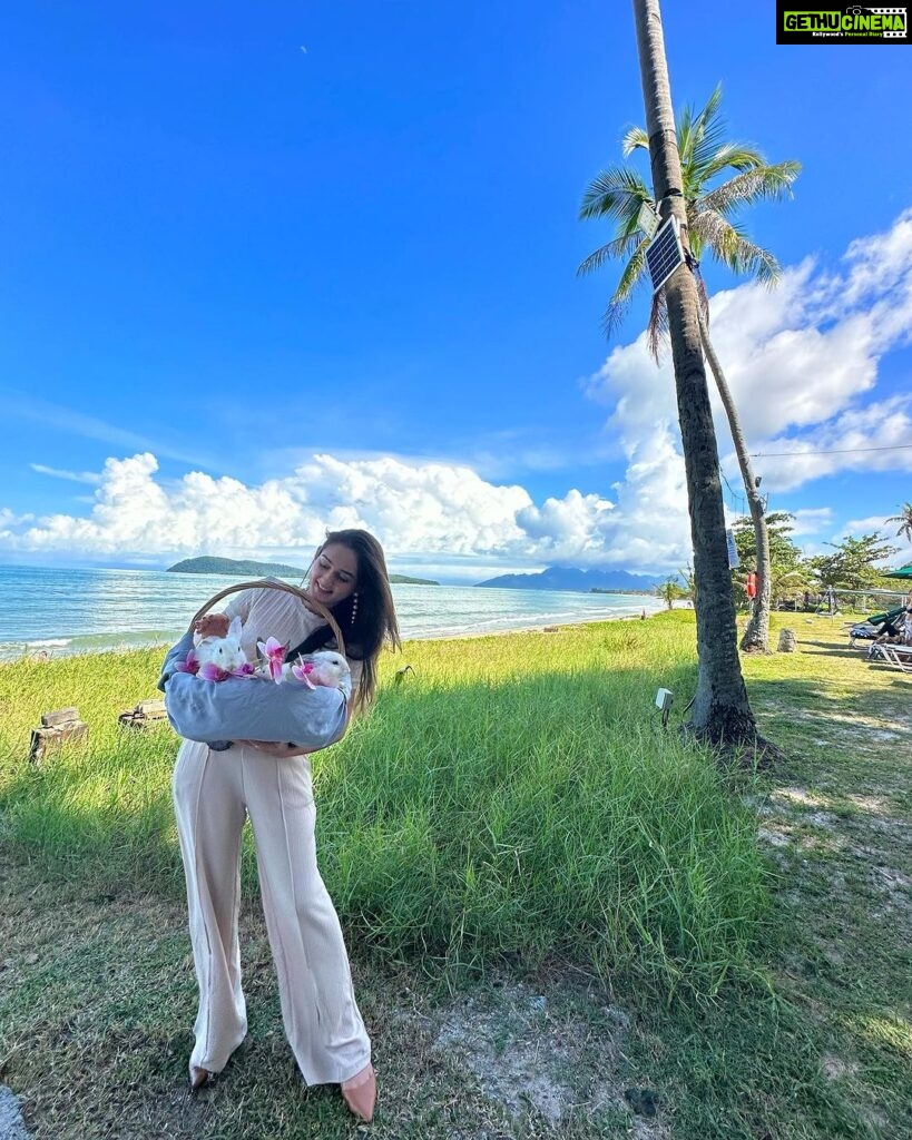 Tanya Sharma Instagram - Finally found my soul animal 🤌🏻 🐰.. . . bunnies by the beach at @frangipanilangkawi #travel #love #resort #langkawi #malaysia #girls #vacay #tanyasharma #frangipani The Frangipani Langkawi Resort & Spa