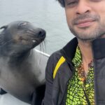 Tovino Thomas Instagram - Let’s talk about the bloody 30 acres of sea !! 🥴 #atlanticocean #namibia #walvisbay #pelican #seal #albatros Atlantic Ocean Namibian Coast