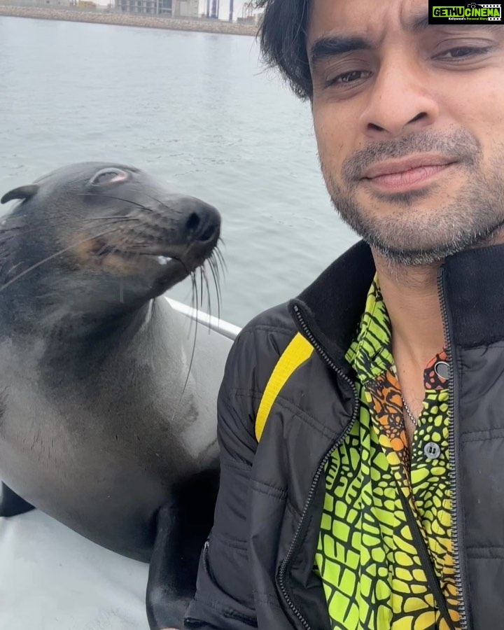 Tovino Thomas Instagram - Let’s talk about the bloody 30 acres of sea !! 🥴 #atlanticocean #namibia #walvisbay #pelican #seal #albatros Atlantic Ocean Namibian Coast