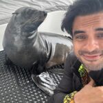 Tovino Thomas Instagram - Let’s talk about the bloody 30 acres of sea !! 🥴 #atlanticocean #namibia #walvisbay #pelican #seal #albatros Atlantic Ocean Namibian Coast