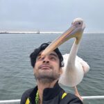Tovino Thomas Instagram - Let’s talk about the bloody 30 acres of sea !! 🥴 #atlanticocean #namibia #walvisbay #pelican #seal #albatros Atlantic Ocean Namibian Coast