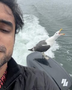 Tovino Thomas Instagram - Let’s talk about the bloody 30 acres of sea !! 🥴

#atlanticocean #namibia #walvisbay #pelican #seal #albatros