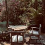 Tripti Dimri Instagram – Life is better in Green🌿 Ubud, Bali, Indonesia