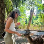 Tripti Dimri Instagram -