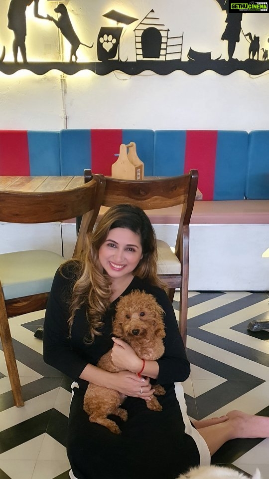 Vahbbiz Dorabjee Instagram - Animal's ask for nothing but your company ❤️ Had a heartwarming day at Oh My Dog Cafe.. #animalday