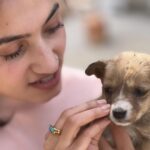 Vaishnavi Gowda Instagram - 🐶 😍♥️
