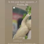 Vanitha Vijayakumar Instagram -