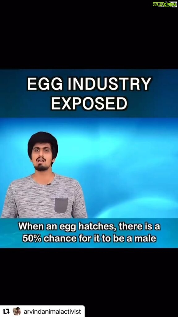 Vedhika Instagram - I used to eat Eggs..never again! Egg Industry=Animal Killing Industry. Her body is not hers , her babies are not hers , she doesn’t know what is freedom, she’s sexually exploited and abused all her life , her wings are not hers , she has no right to bask in the warmth of sunshine or play in rain or ever see the sky, finally one day she awaits her final fate…that which shes waiting for all her life . She is killed for her flesh when she cannot be exploited anymore and she dies struggling all her life hoping death will be kinder to her 💔 Repost @arvindanimalactivist with @use.repost ・・・ #vegan #veganism #india #indian #arvindanimalactivist #animalrights #cow #funny #spoof #whyvegan #meateater #plantstho #chicken #globalwarming #govegan #animalrights #cow #funny #egg #debunked #dairy #crazy #buffalo #milk #exposed
