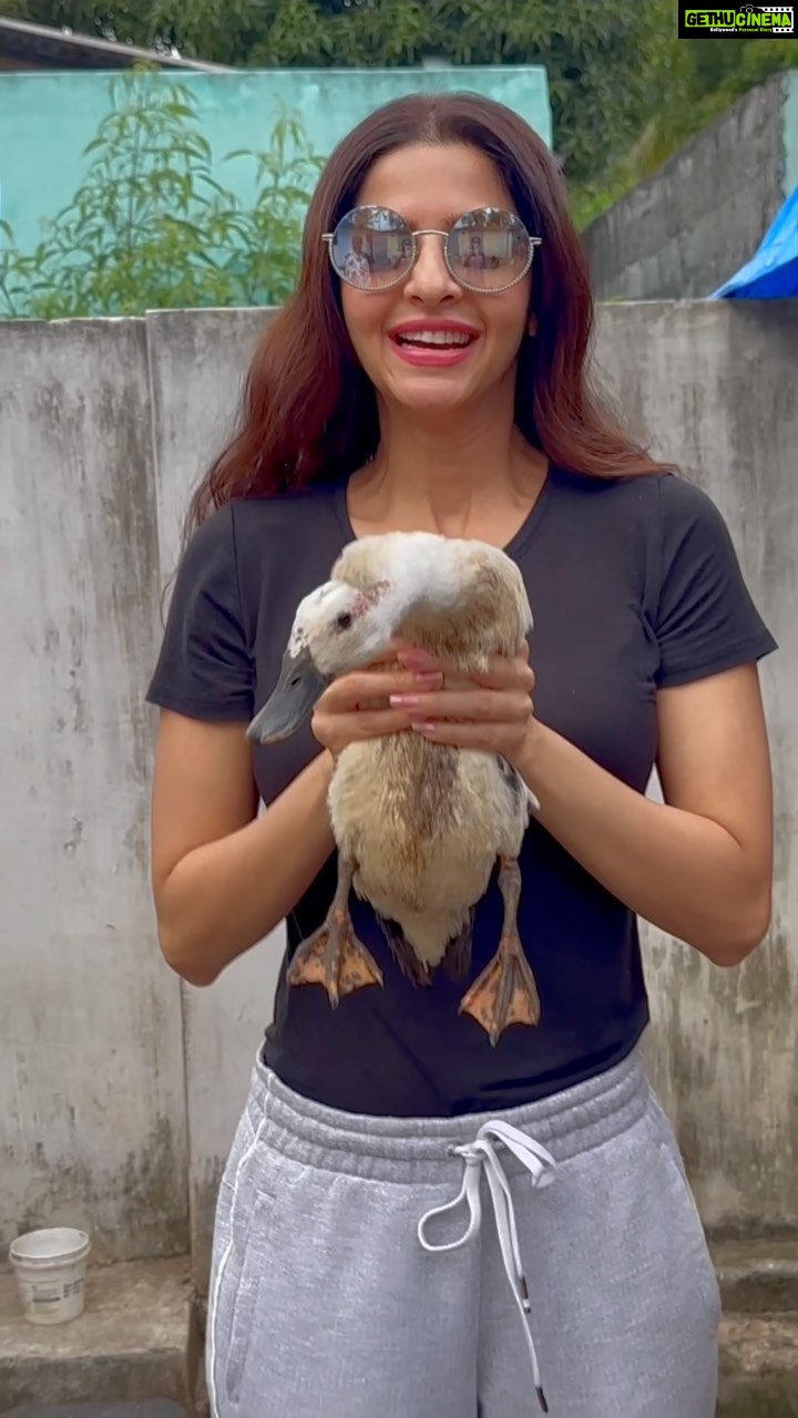 Vedhika Instagram - You rescue yourself when you rescue them 🌱