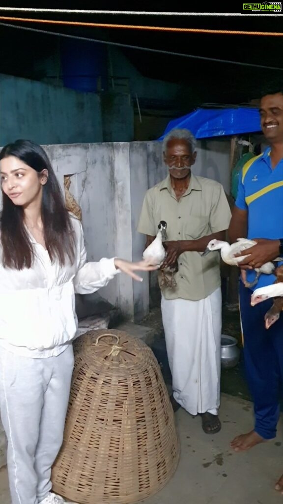 Vedhika Instagram - From Cage to Care! Came across these sentient beings and took them to where to belong…to a home not a broiler! Thank you Mr Manikandan and family for adopting these babies 🙏. The most dangerous weapons that the human ever invented are Cages. Broiler hens are specifically bred to be eaten 💔 and most of these babies live for a maximum of approx 45 days injected with hormones and antibiotics which are ultimately consumed by meat eaters. We managed to rescue 4 country hens and 2 ducks. If you eat animal and animal products, you are paying someone else to do your dirty job. You can be a superhero just by keeping animals off your plate 🙏 #GoVegan for them 🌱