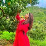Vindhya Tiwari Instagram – Swipe ➡️ to see why am I glowing??🙈❤️✨ Ranikhet-The beauty of hills