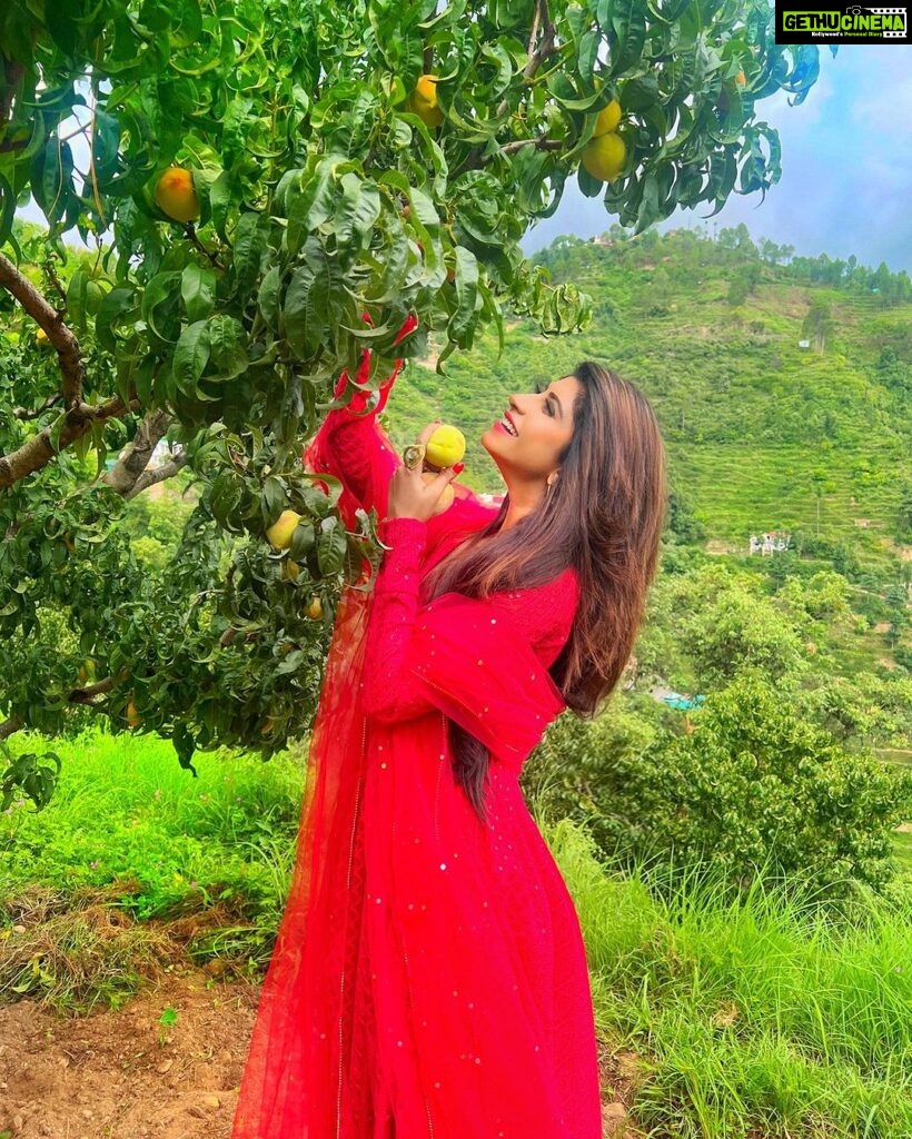 Vindhya Tiwari Instagram - Swipe ➡️ to see why am I glowing??🙈❤️✨ Ranikhet-The beauty of hills