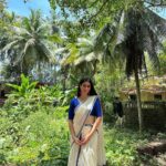 Warina Hussain Instagram – Happy Onam 🌸✨ I wish that your life is as colourful 🌈 as pookalams! 

#festivalvibes
#onam
#kerala
#sareelover Kerala