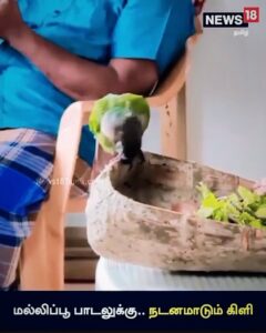 A. R. Rahman Instagram - I need this head banger for all my concerts 😍..also to choreograph our dances 🦜 #mallippu #venduthanindadukaadusong