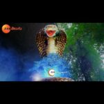 Aashika Padukone Instagram - Uluchi sparsha tho raayini busalu kotte paamuga maarchina aaku… Vishal, Nayani, Sumana pramadam lo padanunnara ? Watch #Trinayani Mon to Sat at 8:30 PM on #ZeeTelugu #ZeeTeluguPromo @ashikapadukone_official @im_chandugowda @itsme_anusha1 @anilchowdary._ @vishnupriyaaofficial