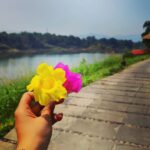 Abhidnya Bhave Instagram - Ohh simple things❤️🌻🧿🏕️ #itsalwaysaboutthelittlethings✨