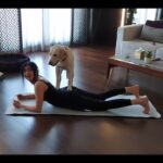 Adah Sharma Instagram – Happy Dhanteras 🔥 Happy Diwali from me and my family and in this video my cutest costar to you and your family ❤❤❤❤🧚‍♀️ bahut saare mithaiyaan khaa lo and thodi bahut work out bhi kar lo 🙃🧜‍♀️🦍🤓
,
,
,
,
#100YearsOfAdahSharma #adahsharma