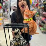 Adah Sharma Instagram - Want a Sandwitch 🧙‍♀️🧹??? . . . Happy #halloween from #StarKidRadhaSharma @adah_ki_radha and all the witches