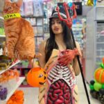 Adah Sharma Instagram - Want a Sandwitch 🧙‍♀️🧹??? . . . Happy #halloween from #StarKidRadhaSharma @adah_ki_radha and all the witches
