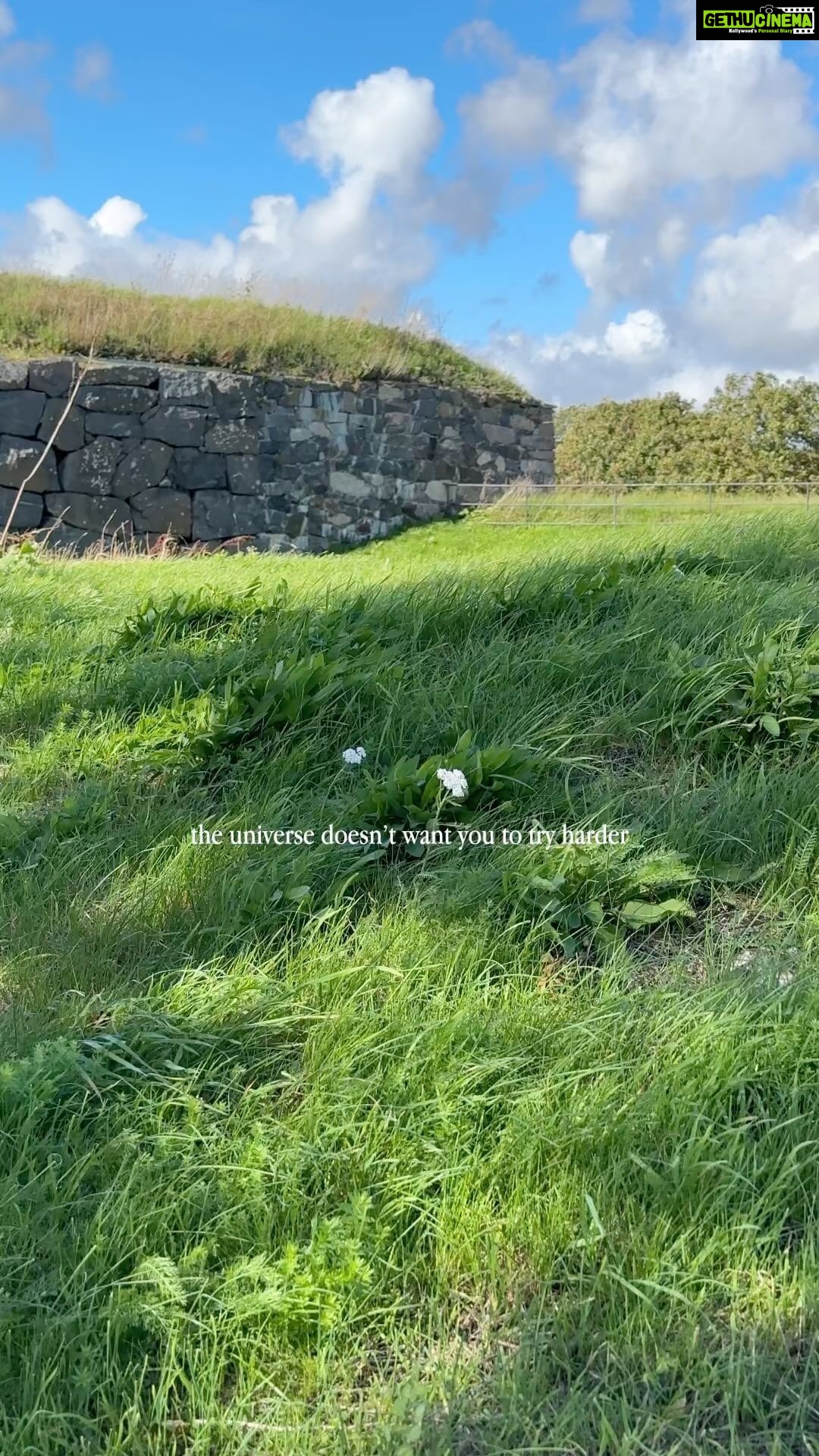 Aditi Chengappa Instagram - Take the steps you need to take without stressing yourself out, and then let go, instead take refuge in this abundant thought that the universe is on your side, and wants to support you ✨✨✨ :follow @aditichengappa 🤍 : : : ; #abundancemindset #trusttheprocess #trusttheuniverse #morningmotivation #motivationalreels #inspiration #peaceful #calmness Berlin, Germany