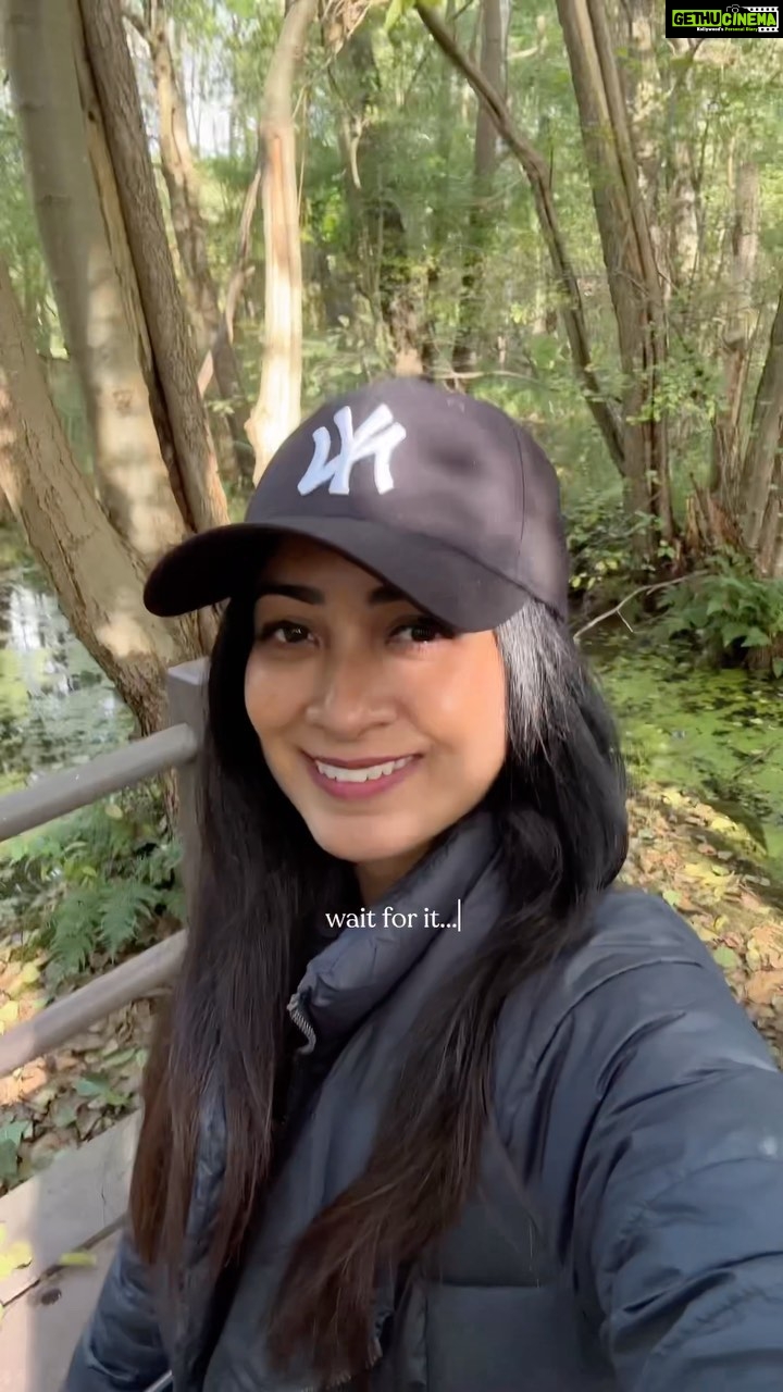 Aditi Chengappa Instagram - Yes this is in Berlin! We stumbled on this beautiful walking trail using the @komoot app😊 We fell in love with the gorgeous wooden plank paths that were reminiscent of japanese walkways and the tall trees. It also led us to a cute cafe for a cup of coffee and pommes before we made our way out! If you’d like a link to the trail comment TRAIL 🤍 : : : ; #healthylifestyle #forestbath #forestlovers #wellnessjourney #wellness #peaceful #naturlovers #calmness #visitberlin #exploreberlin Berlin, Germany