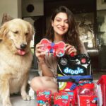Aditi Gautam Instagram - Ain’t we drooling??? Thank you @droolsindia for these amazing goodies for my fur kids ❤️ . . . . . . . . . . #petlovers #goldenretriever #shihtzu #dogsofinstagram #doglover #explore #petstagram #picoftheday #trendingnow #goldenretrievers #dogoftheday #pawparents