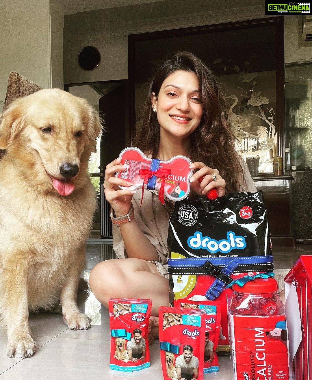 Aditi Gautam Instagram - Ain’t we drooling??? Thank you @droolsindia for these amazing goodies for my fur kids ❤️ . . . . . . . . . . #petlovers #goldenretriever #shihtzu #dogsofinstagram #doglover #explore #petstagram #picoftheday #trendingnow #goldenretrievers #dogoftheday #pawparents