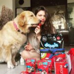 Aditi Gautam Instagram - Ain’t we drooling??? Thank you @droolsindia for these amazing goodies for my fur kids ❤️ . . . . . . . . . . #petlovers #goldenretriever #shihtzu #dogsofinstagram #doglover #explore #petstagram #picoftheday #trendingnow #goldenretrievers #dogoftheday #pawparents