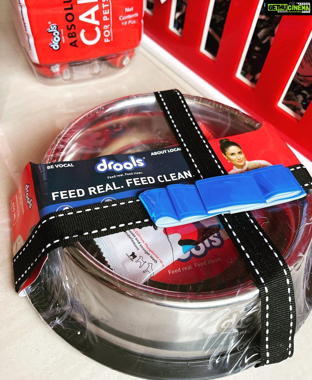 Aditi Gautam Instagram - Ain’t we drooling??? Thank you @droolsindia for these amazing goodies for my fur kids ❤️ . . . . . . . . . . #petlovers #goldenretriever #shihtzu #dogsofinstagram #doglover #explore #petstagram #picoftheday #trendingnow #goldenretrievers #dogoftheday #pawparents