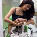 Aishwarya Sakhuja Instagram – Grateful to Aishwarya Sakhuja for visiting our shelter and lending her voice to Pepper’s adoption appeal. 🐾 Let’s find Pepper her forever home! Contact us at +91 98109 43120 or +91 98209 52339. 🏡

#adoptarescuecat #helppepperfindahome #yodamumbai #aishwaryasakhuja #animalshelter #animalshelterinmumbai #mumbaianimalshelter #adopt #adoptdontshop #adoptinidecats #indiecats #indiecatsofinstagram #indiecatsareamazing #indiesareworthit #adoptionisbeautiful #adoptionsaveslives