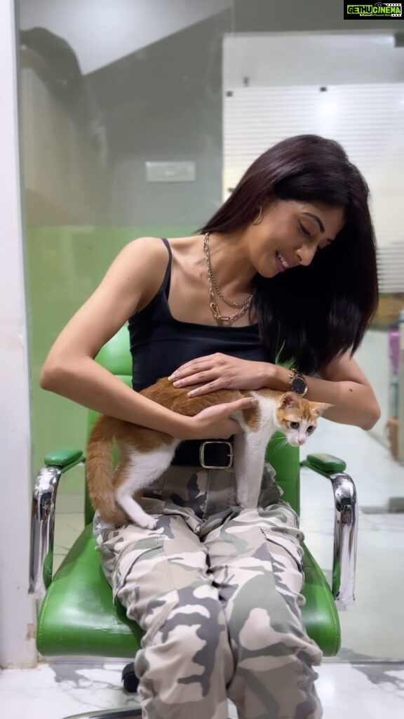 Aishwarya Sakhuja Instagram - Grateful to Aishwarya Sakhuja for visiting our shelter and lending her voice to Pepper’s adoption appeal. 🐾 Let’s find Pepper her forever home! Contact us at +91 98109 43120 or +91 98209 52339. 🏡 #adoptarescuecat #helppepperfindahome #yodamumbai #aishwaryasakhuja #animalshelter #animalshelterinmumbai #mumbaianimalshelter #adopt #adoptdontshop #adoptinidecats #indiecats #indiecatsofinstagram #indiecatsareamazing #indiesareworthit #adoptionisbeautiful #adoptionsaveslives