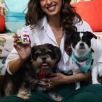Aishwarya Sakhuja Instagram - Changing weather took a toll on Floki and Hippie’s skin, causing discomfort with constant itching and bumps on Floki’s skin. As a pet parent, I couldn’t stand to see them suffer. No one wants to see their pets uncomfortable or resort to medications with potential side effects. That’s when we turned to Homeopathy for our fur babies, and what better choice than a brand with a trusted legacy of 40+ years? We reached out to Bakson Veterinary, and they recommended their Derm Aid Drops. These drops not only relieve itching but also treat skin allergies, rashes, hotspots, inflammation, paw licking, and skin infections. After giving these drops to Floki and Hippie for over 15 days, the results are clear. Pet parents, it’s time to consider homeopathy and provide your pets with relief from ailments without worrying about side effects. I have complete faith in Bakson Veterinary for my pets, and I encourage you to consult them @veterinary.bakson to address any concerns or questions you may have. 🐾❤️ #baksonveterinary #PetWellness #HomeopathyForPets #BaksonVeterinary #ad