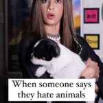 Aishwarya Sakhuja Instagram – Sorry. Not sorry but you have been blocked 🚫
.
.
#reels #dafahojao #trendingreels #animallover #reelsinstagram #reelkarofeelkaro #aishwaryasakhuja