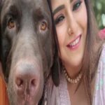 Akanksha Awasthi Instagram - Meri Zindagi hai tu💞 happy birthday my love one& only ROME 🐾 waise to mujhe sab bahut pyare Hain par Mera sukun ho tum Mera Shona mera Rome🤗💞🎂🎁 mera bhola mera Rome 🤗 mere bholenath ka ashirwad ho tum jo humesha mere sath mere pass hota hai🙏👏 thanku God aaj k din ye ashirwad bhejne k liye🎁