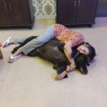 Akanksha Awasthi Instagram - Dogs are not our whole life, but they make our lives whole ❤️ . . . . #doglover #dogsofinstagram #dog #dogs #dogoftheday #dogstagram #doglife #instadog #puppy #doglovers #puppylove #love #pet #pets #cute #instagram #ilovemydog #puppiesofinstagram #dogphotography #dogsofinsta #of #doglove #petstagram #puppies #petsofinstagram #doggo #dogslife #hundeliebe #animals #doggy Mumbai, Maharashtra