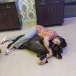 Akanksha Awasthi Instagram - Dogs are not our whole life, but they make our lives whole ❤️ . . . . #doglover #dogsofinstagram #dog #dogs #dogoftheday #dogstagram #doglife #instadog #puppy #doglovers #puppylove #love #pet #pets #cute #instagram #ilovemydog #puppiesofinstagram #dogphotography #dogsofinsta #of #doglove #petstagram #puppies #petsofinstagram #doggo #dogslife #hundeliebe #animals #doggy Mumbai, Maharashtra