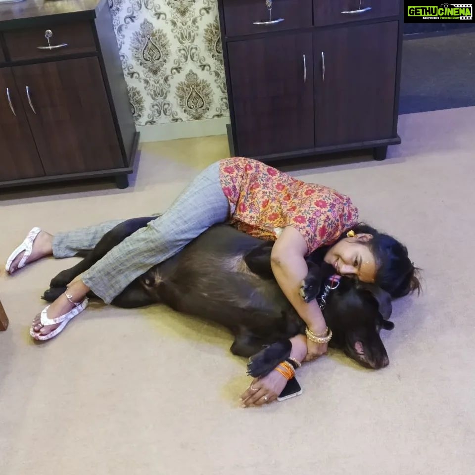 Akanksha Awasthi Instagram - Dogs are not our whole life, but they make our lives whole ❤️ . . . . #doglover #dogsofinstagram #dog #dogs #dogoftheday #dogstagram #doglife #instadog #puppy #doglovers #puppylove #love #pet #pets #cute #instagram #ilovemydog #puppiesofinstagram #dogphotography #dogsofinsta #of #doglove #petstagram #puppies #petsofinstagram #doggo #dogslife #hundeliebe #animals #doggy Mumbai, Maharashtra