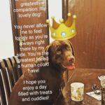 Akanksha Awasthi Instagram - Happy birthday my fur baby 👼Tu hai to mai hoon🤗❤ love you Rome 🎂maa ka ladka💋😇🎂Happy birthday my fur baby 👼Tu hai to mai hoon🤗❤l love you Rome 🎂maa ka ladla💋😇🎂