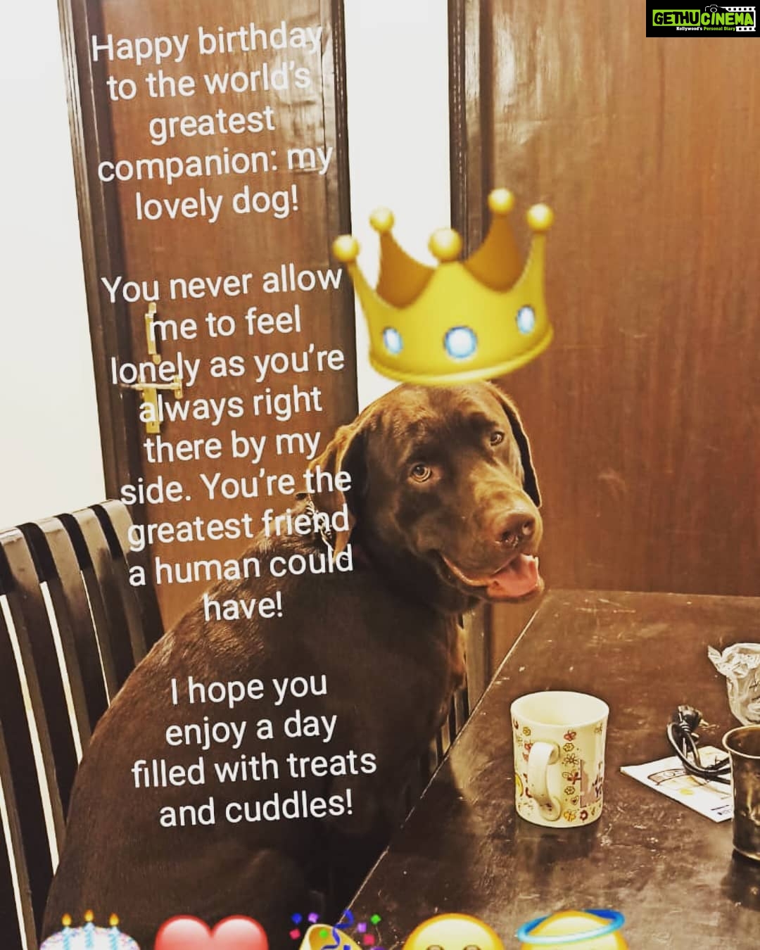 Akanksha Awasthi Instagram - Happy birthday my fur baby 👼Tu hai to mai hoon🤗❤ love you Rome 🎂maa ka ladka💋😇🎂Happy birthday my fur baby 👼Tu hai to mai hoon🤗❤l love you Rome 🎂maa ka ladla💋😇🎂