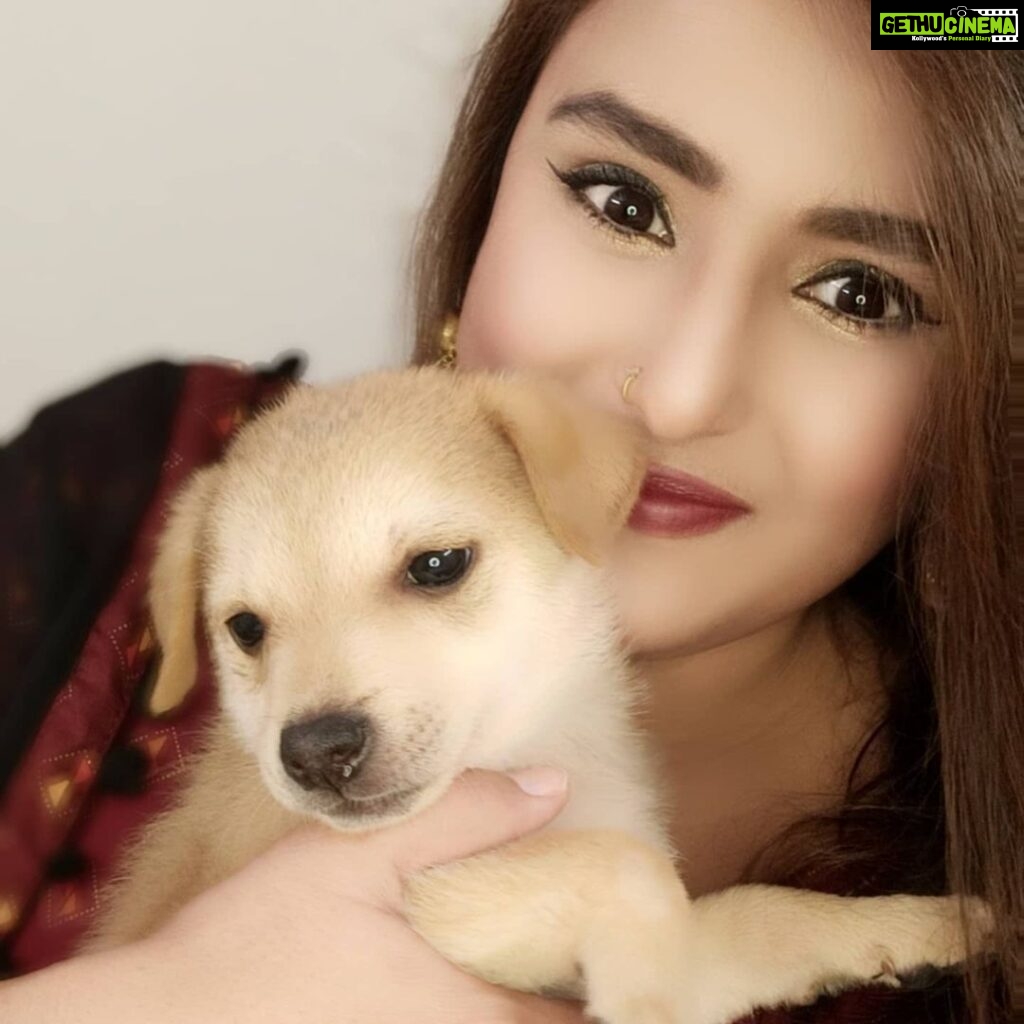 Akanksha Awasthi Instagram - PLZZZZZ Adopt stray dogs 🐕 I love Indi 🐕 I love my India 🇮🇳 I love my Indian breed You must have a indi dog in your house 💕 You'll be lucky to have them trust me❤😍