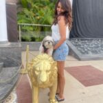 Akshara Gowda Instagram - It was bring your DOG to work day ❤️🫶🐶 #aksharagowda #stylishtamilachi #aksharagowdabikki #stylishtamizhachi #chennai #bangalore #bengaluru #bhairav #dogsofinstagram #doglover #dogs #pet #work #shootlife #bringyourdogtoworkday #hyderabad