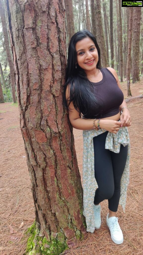 Alphy Panjikaran Instagram - ❤❤ #travel #travelgram #wagamon #happiness #reels #reelsinstagram #travelphotography #travelholic #instagram #trending #trendingreels #india #kerala Pine Forest Vagamon