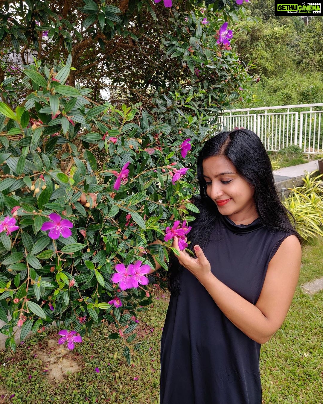 Alphy Panjikaran Instagram - 💖💖 @le_collines